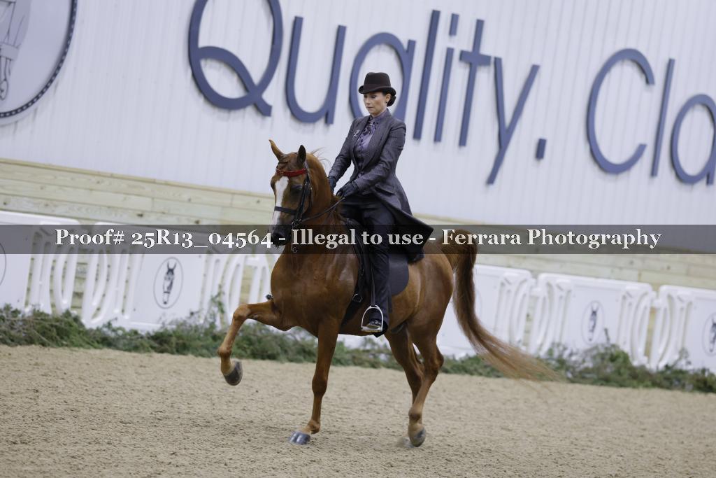 Proof Number 25R13_04564