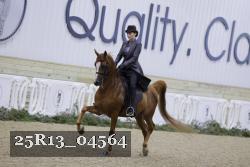 25R13_04564 thumbnail
