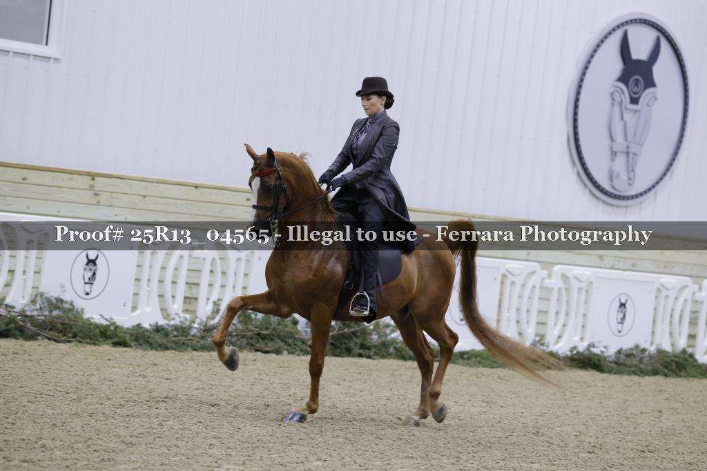 Proof Number 25R13_04565