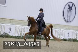 25R13_04565 thumbnail