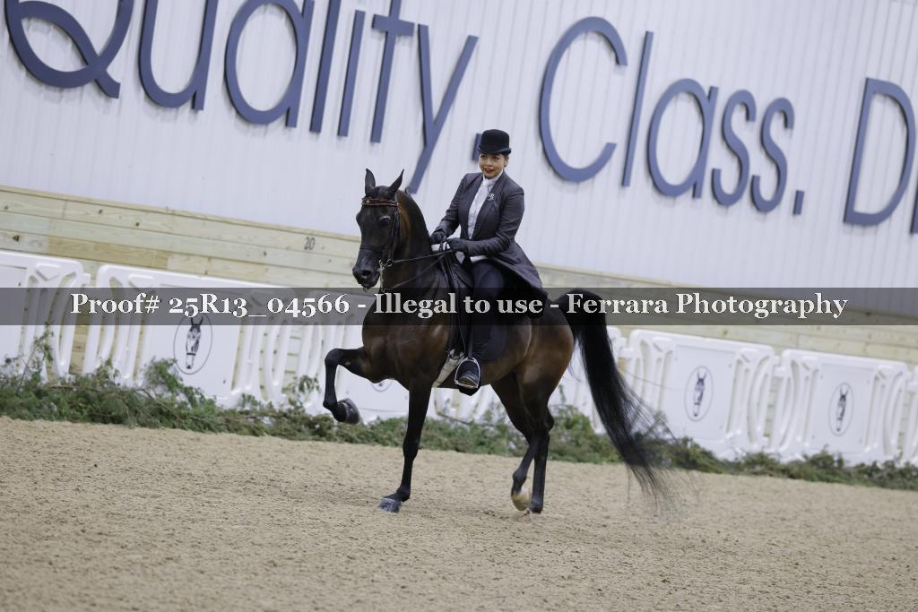 Proof Number 25R13_04566