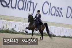 25R13_04566 thumbnail