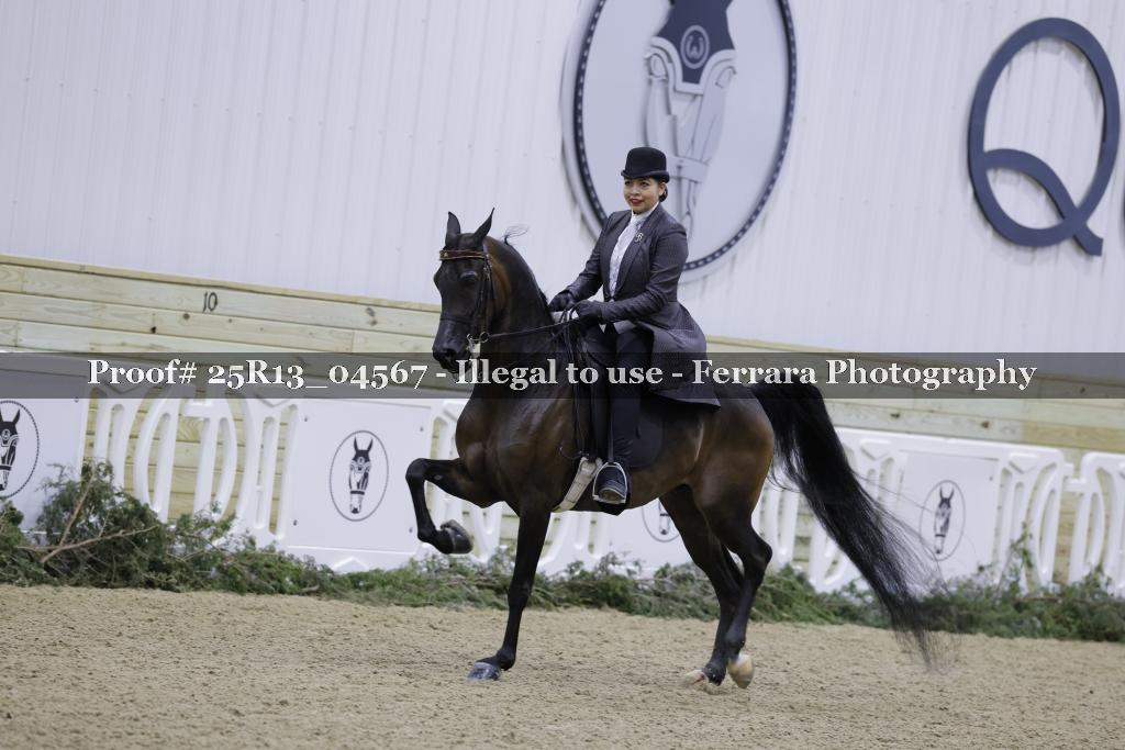 Proof Number 25R13_04567