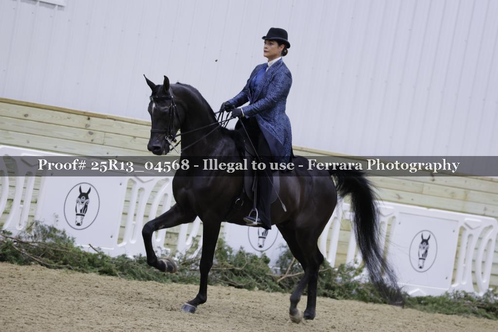 Proof Number 25R13_04568