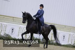 25R13_04568 thumbnail