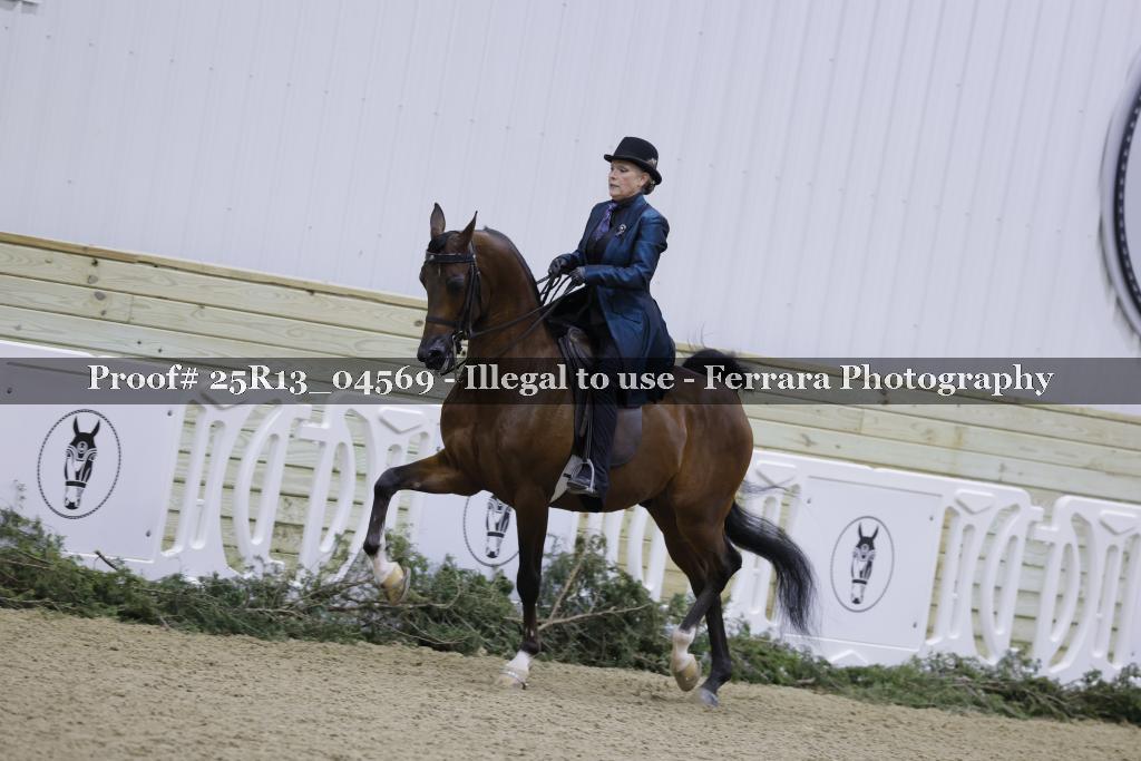 Proof Number 25R13_04569