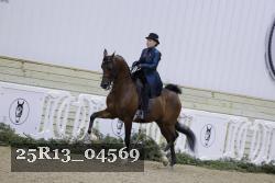 25R13_04569 thumbnail
