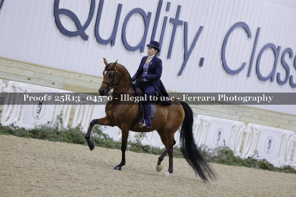 Proof Number 25R13_04570