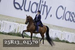 25R13_04570 thumbnail