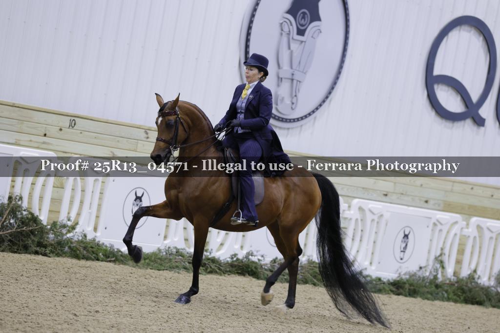 Proof Number 25R13_04571