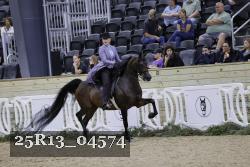 25R13_04574 thumbnail