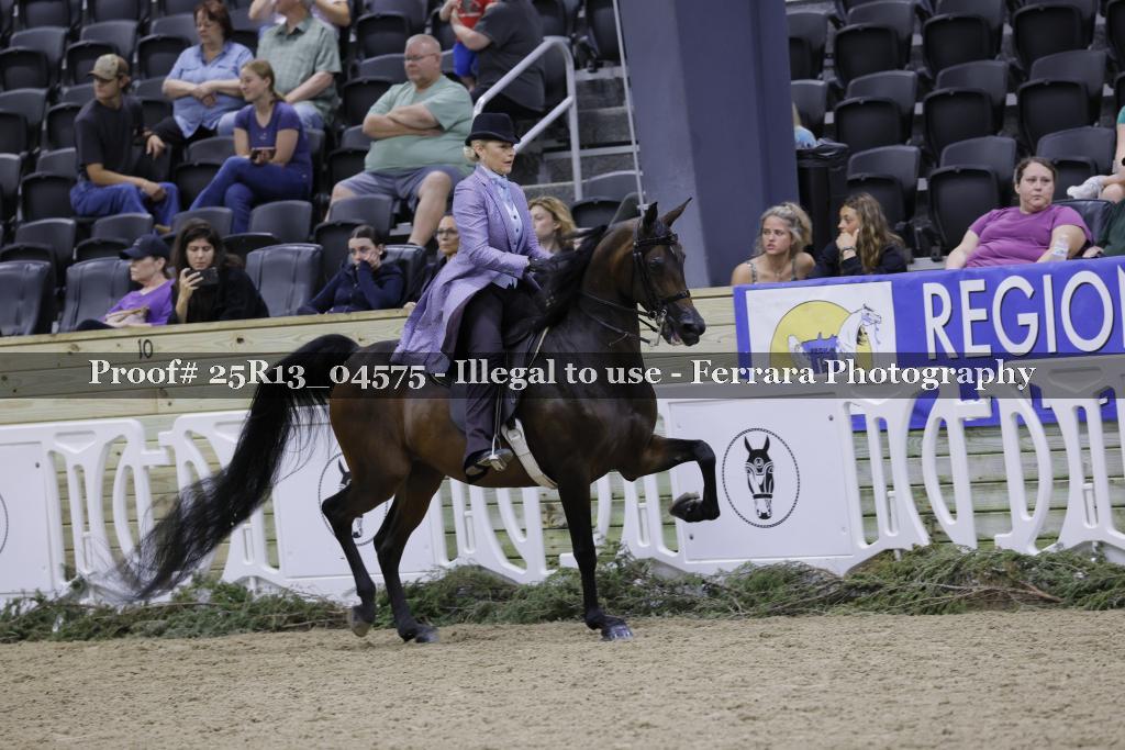 Proof Number 25R13_04575