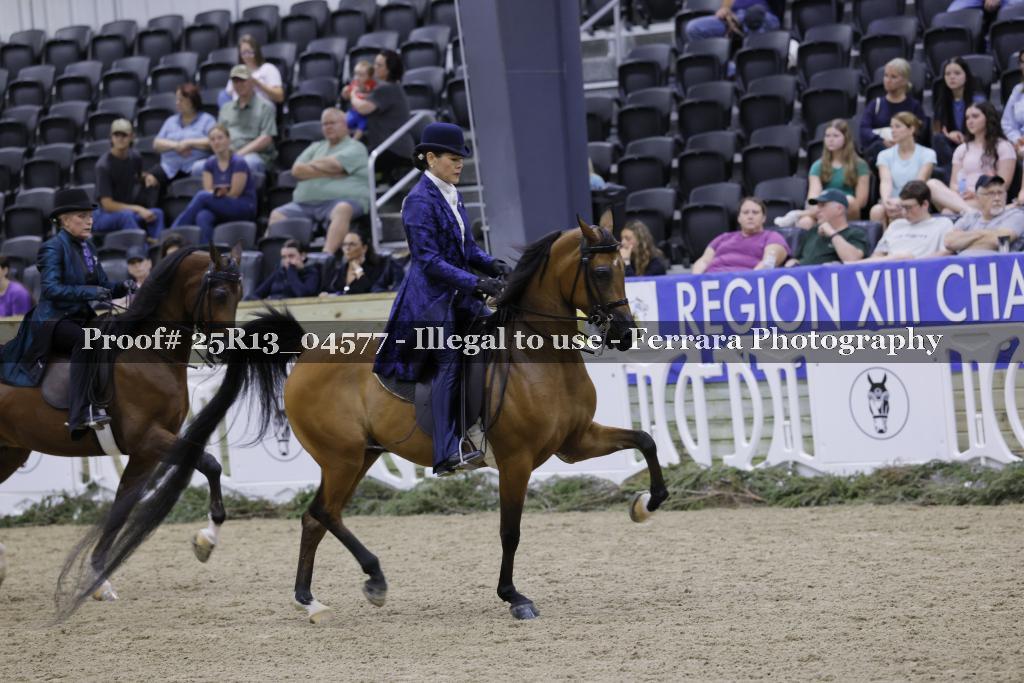 Proof Number 25R13_04577