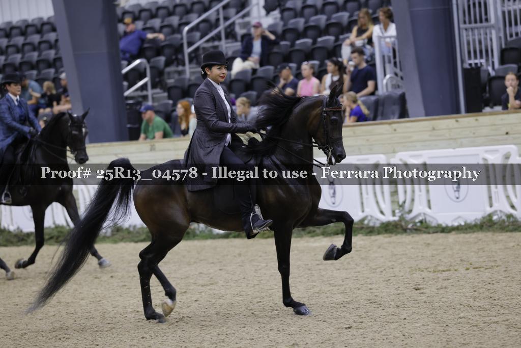 Proof Number 25R13_04578