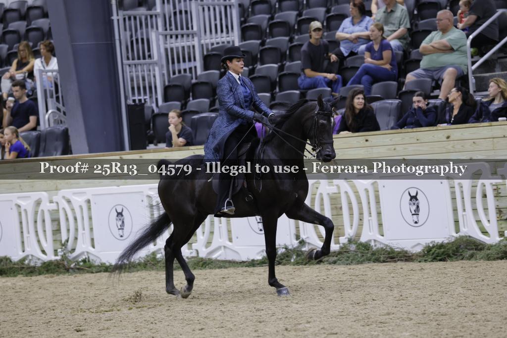 Proof Number 25R13_04579