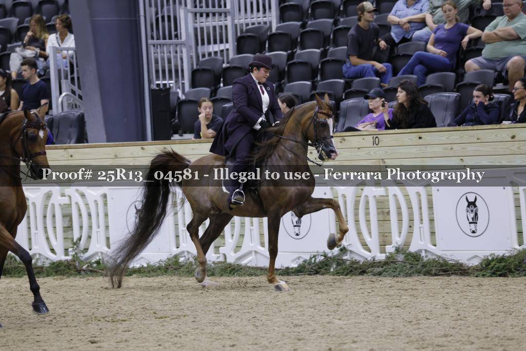 Proof Number 25R13_04581
