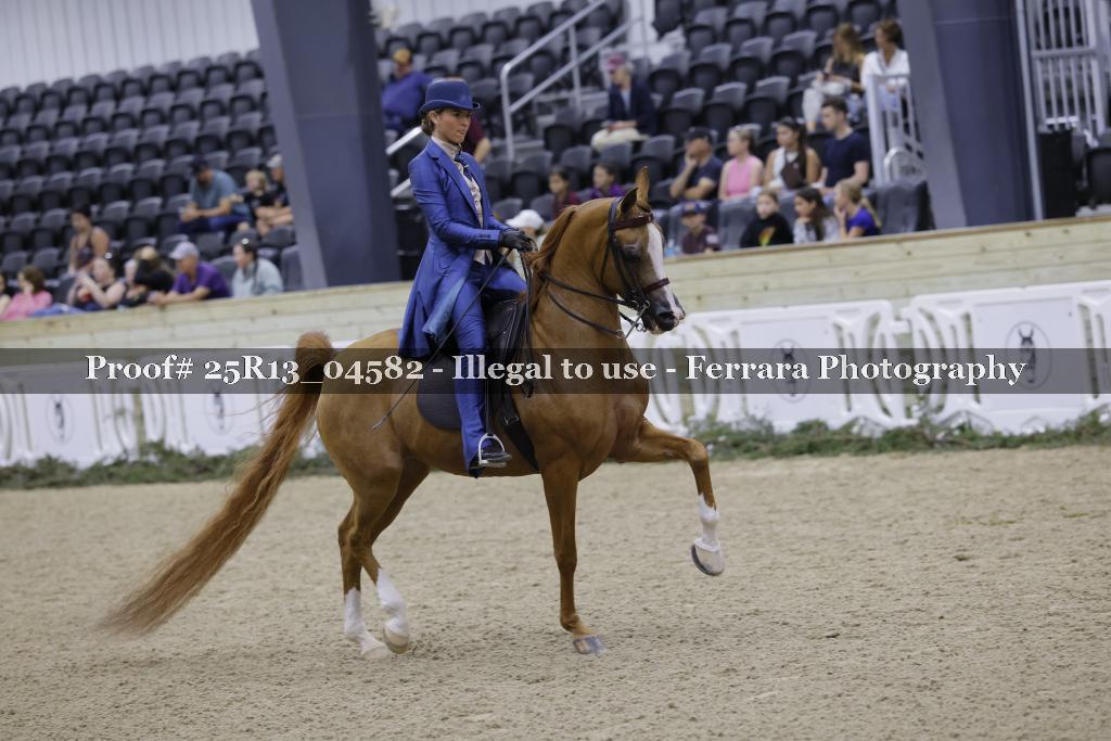 Proof Number 25R13_04582
