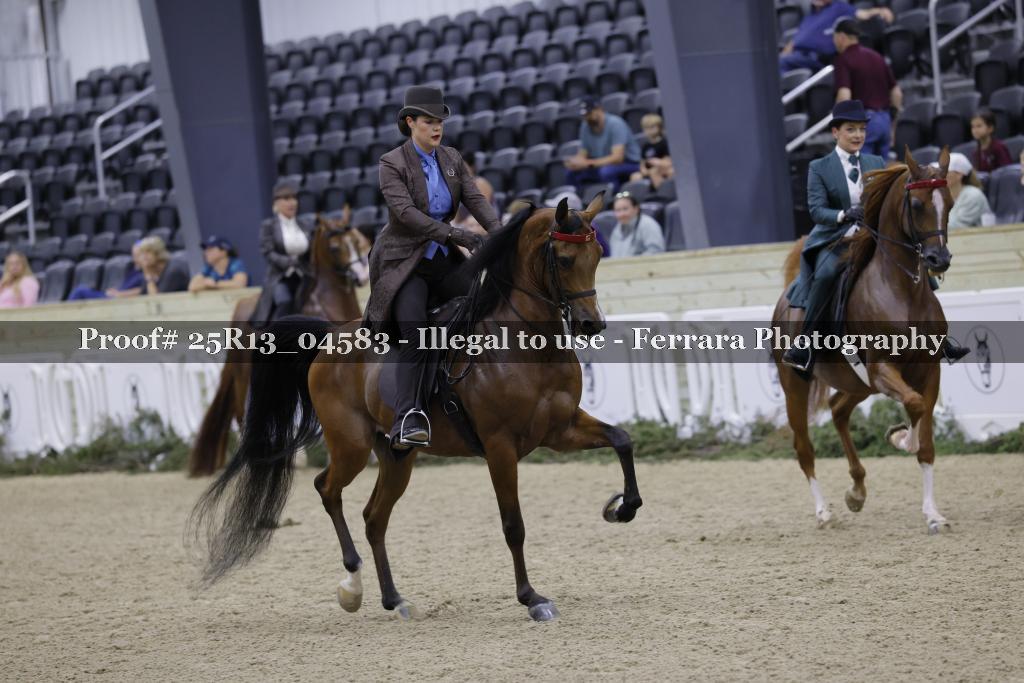 Proof Number 25R13_04583
