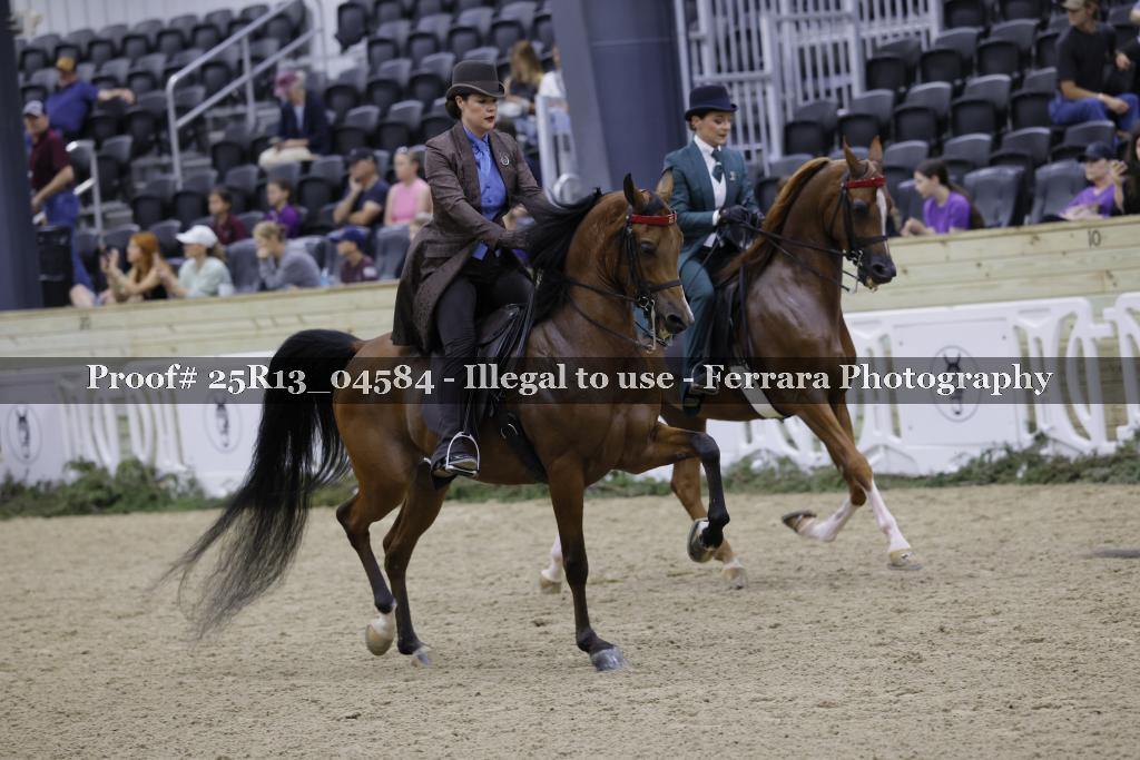 Proof Number 25R13_04584