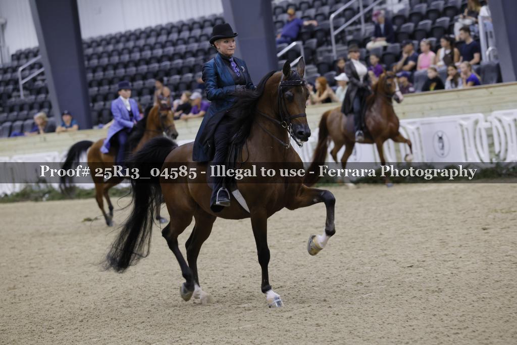 Proof Number 25R13_04585