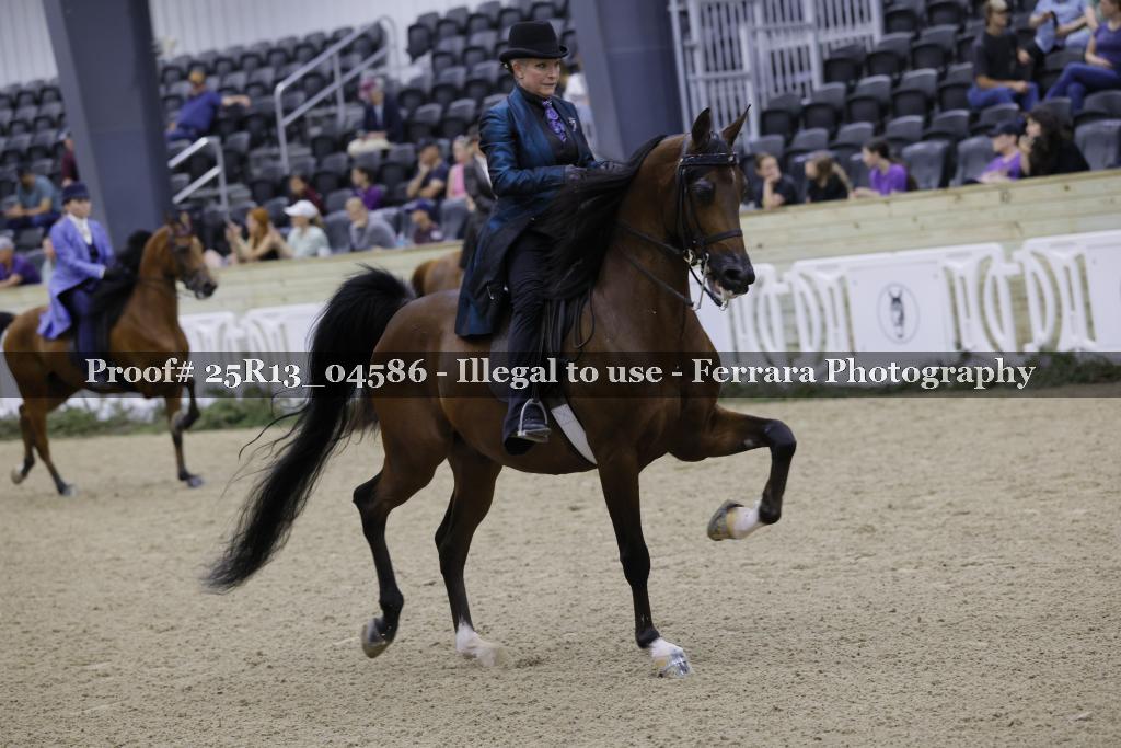 Proof Number 25R13_04586