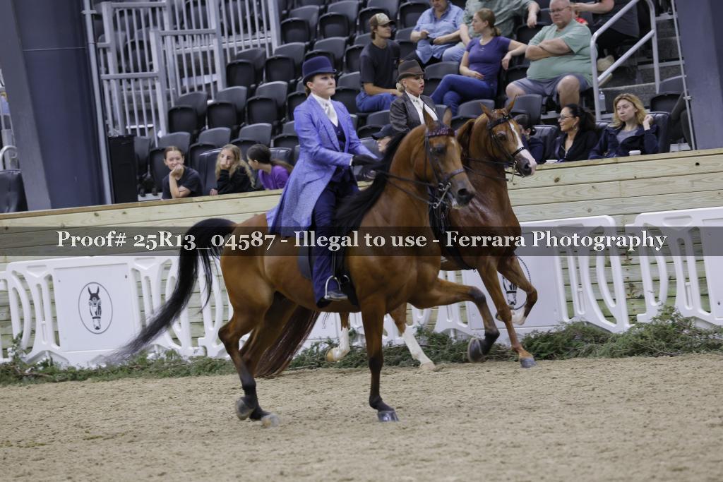 Proof Number 25R13_04587