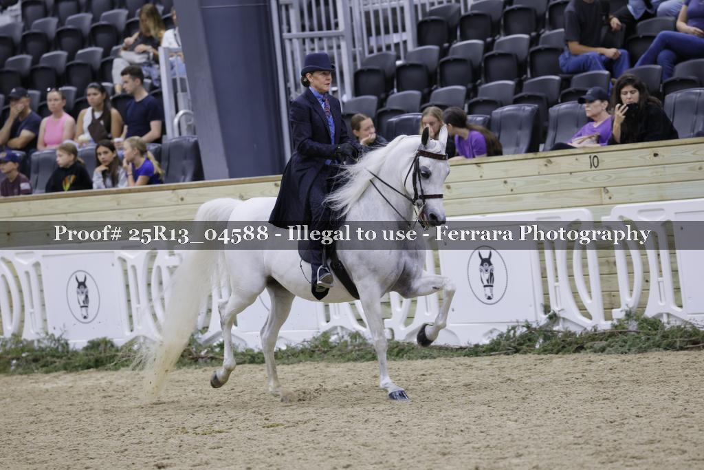 Proof Number 25R13_04588
