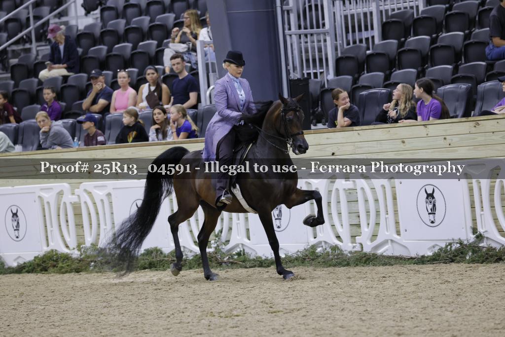 Proof Number 25R13_04591