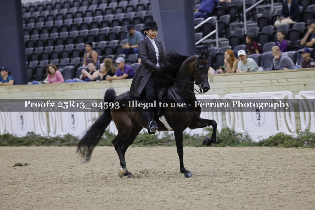 Proof Number 25R13_04593