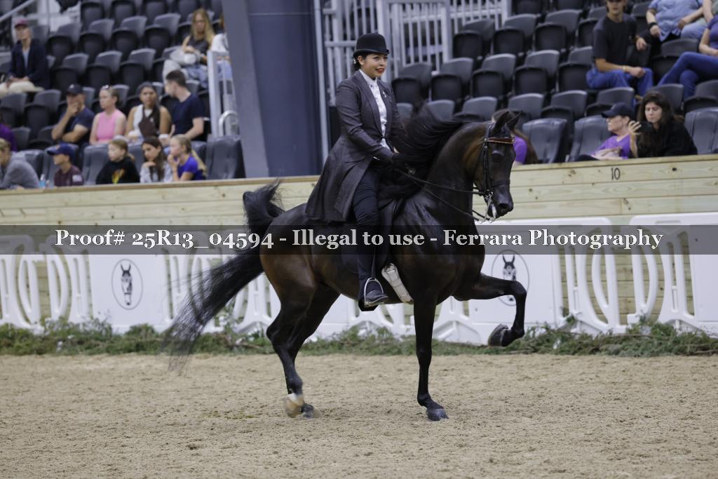 Proof Number 25R13_04594