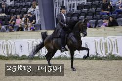 25R13_04594 thumbnail
