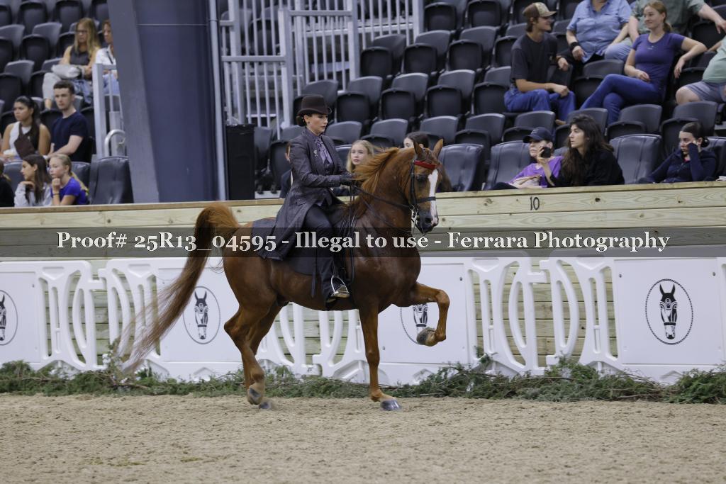 Proof Number 25R13_04595