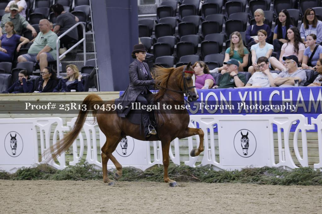 Proof Number 25R13_04596