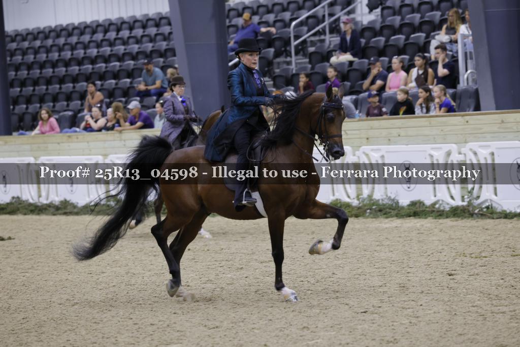 Proof Number 25R13_04598