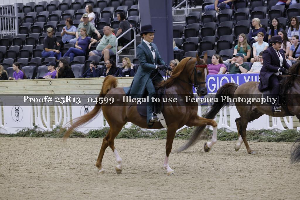 Proof Number 25R13_04599