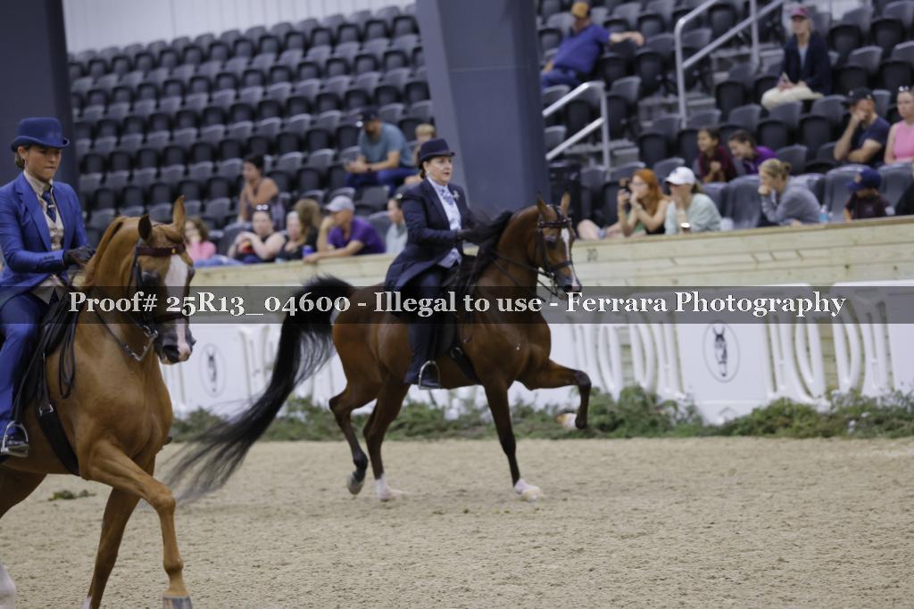 Proof Number 25R13_04600