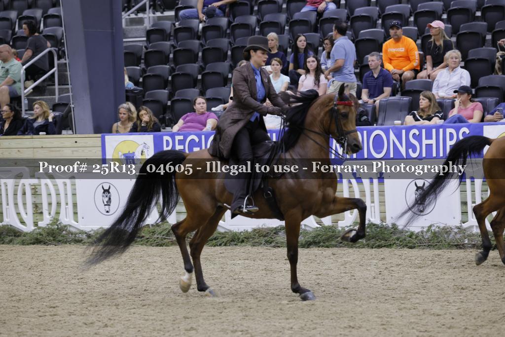 Proof Number 25R13_04605