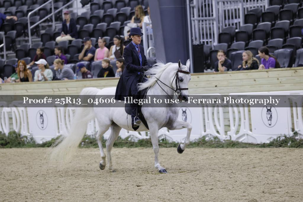 Proof Number 25R13_04606