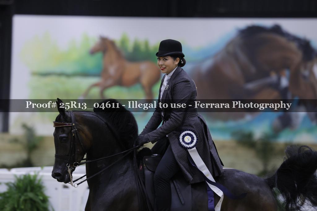 Proof Number 25R13_04611