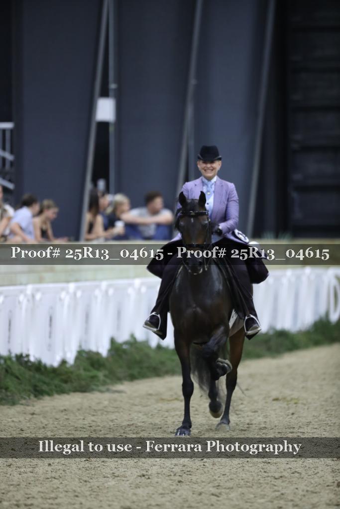 Proof Number 25R13_04615