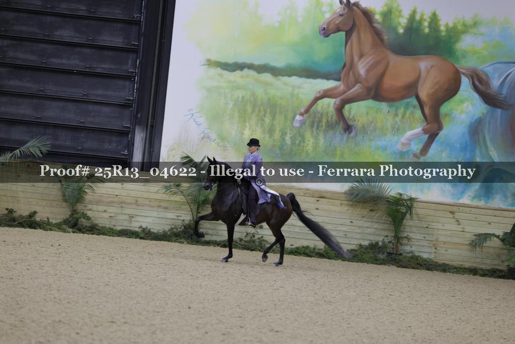 Proof Number 25R13_04622