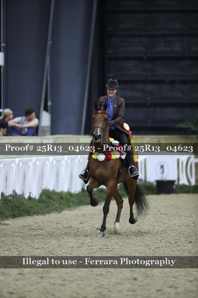 Proof Number 25R13_04623
