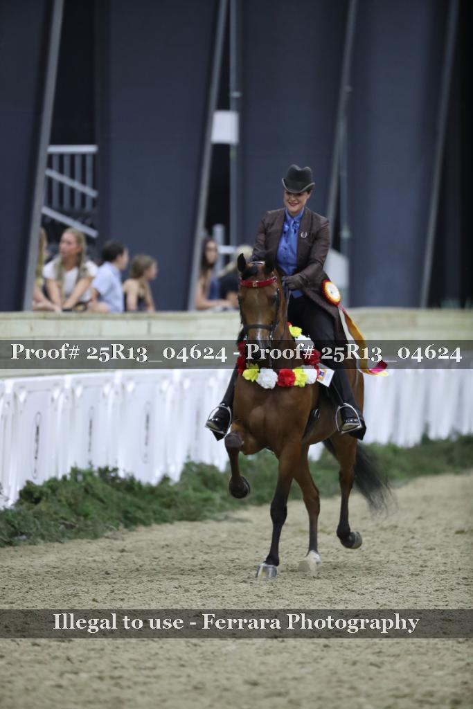 Proof Number 25R13_04624