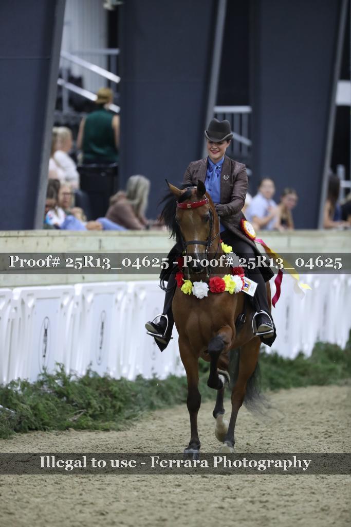 Proof Number 25R13_04625