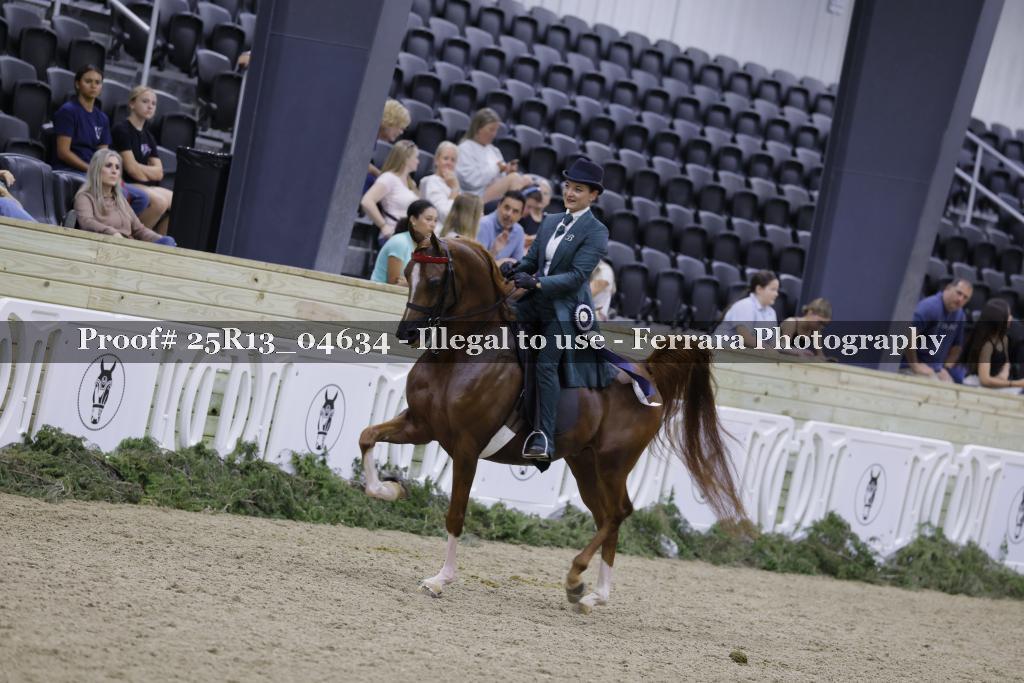 Proof Number 25R13_04634