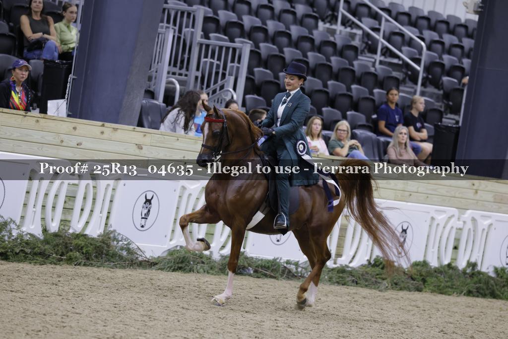 Proof Number 25R13_04635