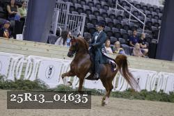 25R13_04635 thumbnail