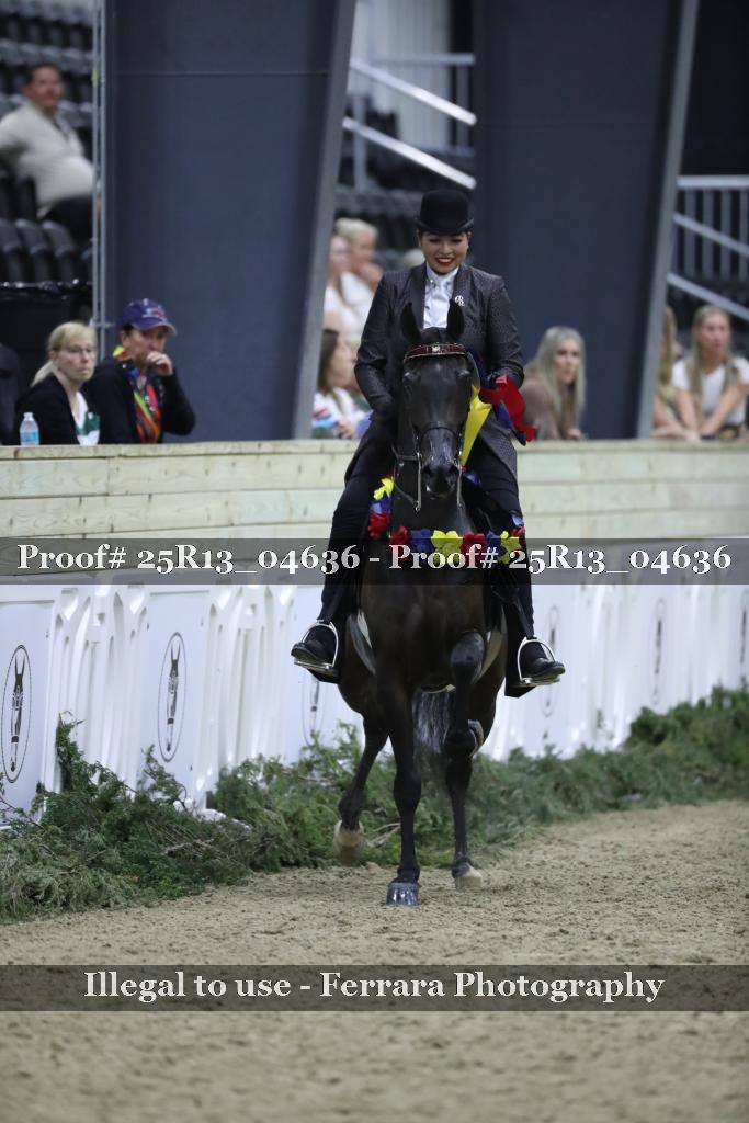 Proof Number 25R13_04636