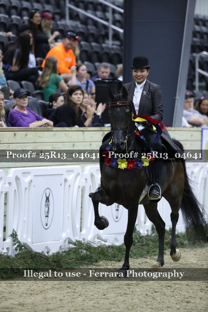 Proof Number 25R13_04641