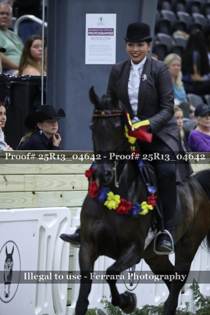 Proof Number 25R13_04642